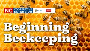 Cover photo for Beginning Beekeeping Class