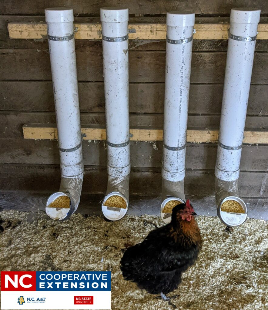PVC pipe interactive feeders make dinner fun for County Shelter