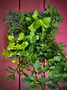 Cover photo for Re-Framing Your Vertical Garden