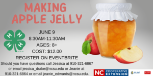 Cover photo for 4-H Summer Fun - Making Apple Jelly