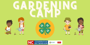 Cover photo for 4-H Gardening Camp