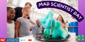 Cover photo for 4-H Summer Fun - Cloverbud Mad Scientist Day