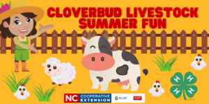Cover photo for 4-H Summer Fun - Cloverbud Livestock