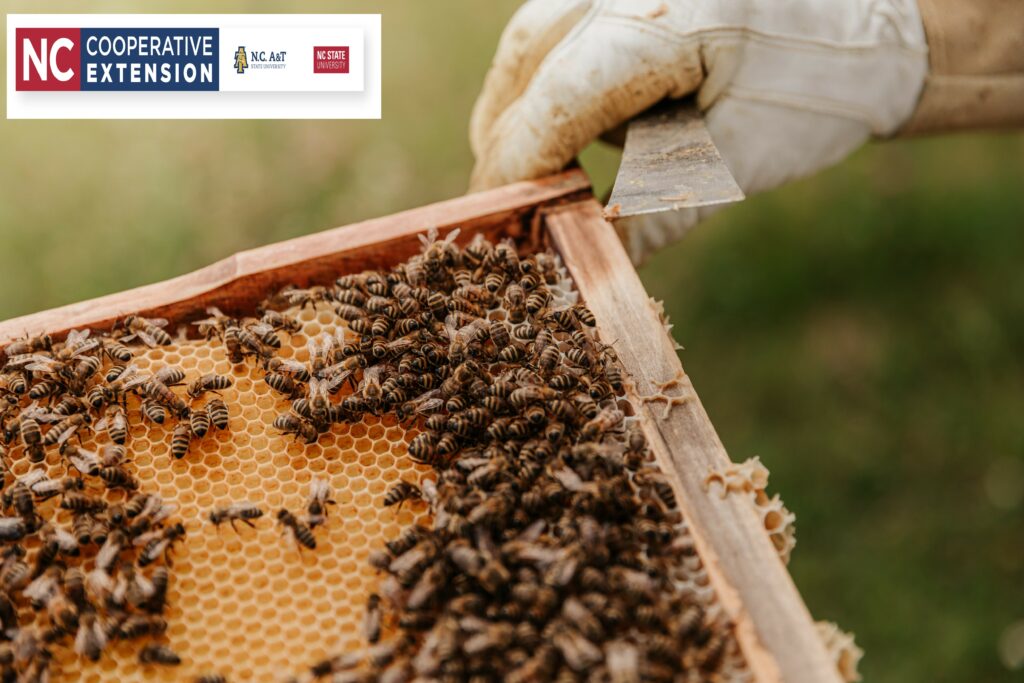 Beekeeping  N.C. Cooperative Extension