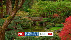 Cover photo for Zen Garden Design - Better Living Series