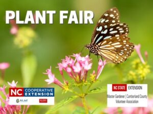 plant fair flyer