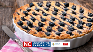 preparing blueberries