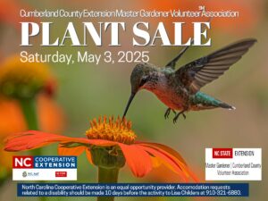 Master Gardener Plant Sale