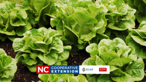 fall garden workshop